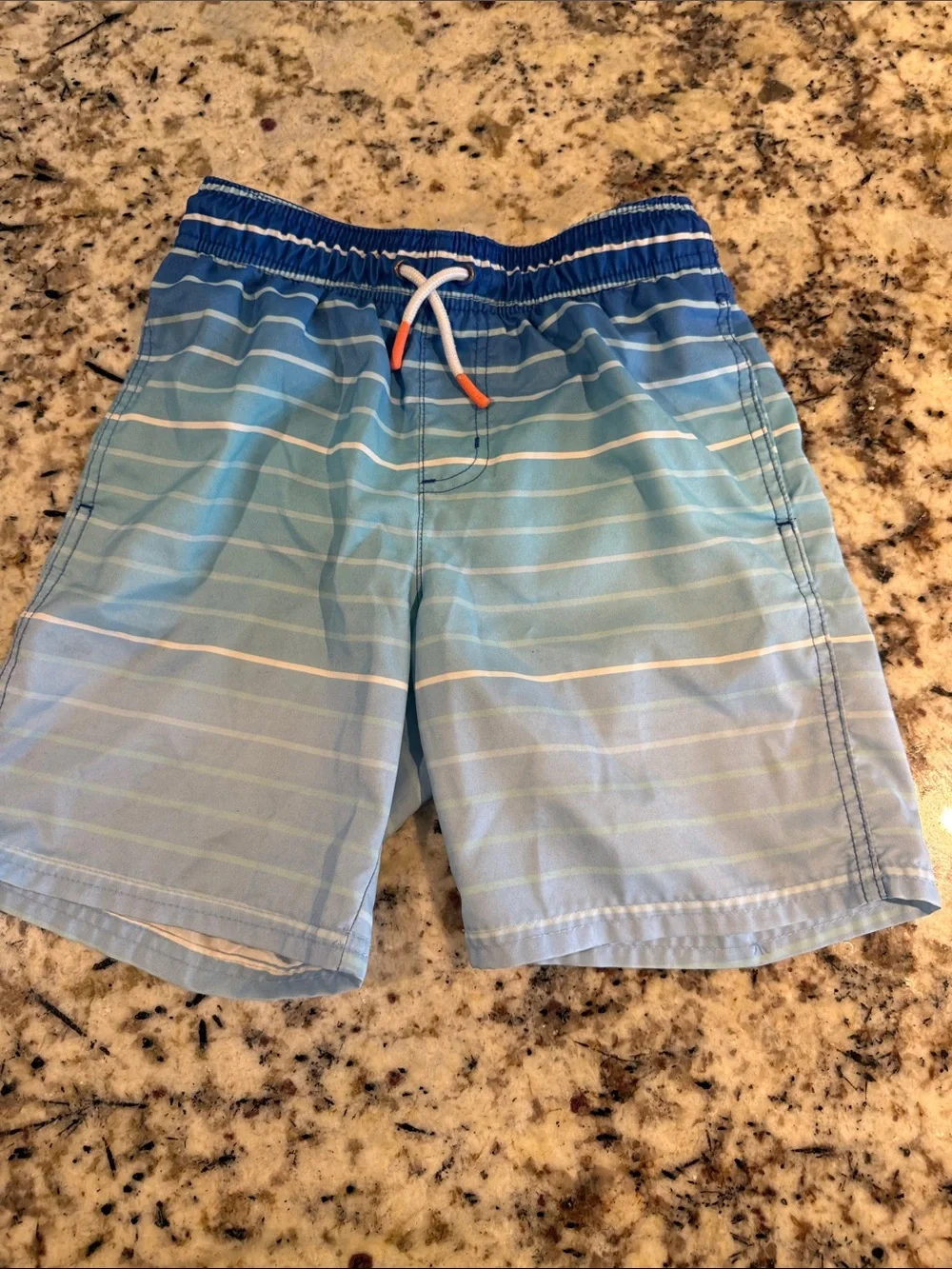 Cat & Jack Blue and White Boys Swim Shorts